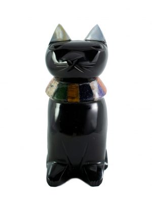 gato mediano orejas blancas n3