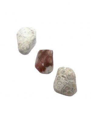 Biocristal piedras pulidas agata botswana