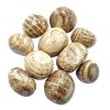 Biocristal piedras pulidas aragonita