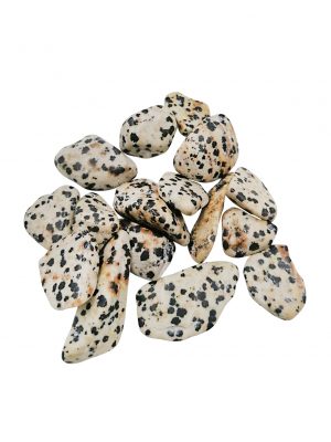 Biocristal piedras pulidas jaspe dálmata