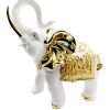 Biocristal elefante blanco con dorado grande