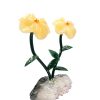 Biocristal flor doble calcita amarilla