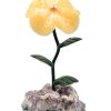 Biocristal flor grande calcita amarilla