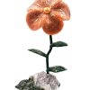 Biocristal flor grande calcita naranja