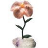 Biocristal flor grande dolomita